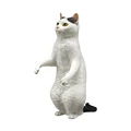 D standing