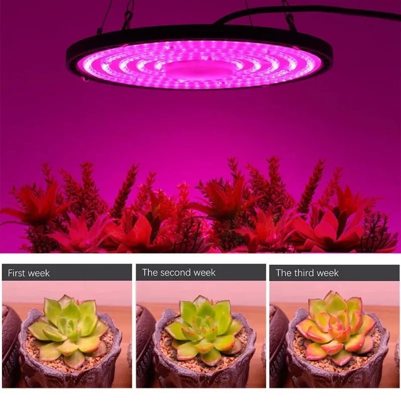 Imagem -03 - Planta de Espectro Completo Crescer Luz Lâmpada Led Ufo Luz Solar Alto Ppfd Quantum Interior Tenda de Estufa Iluminação de Crescimento 100w 150w 200w