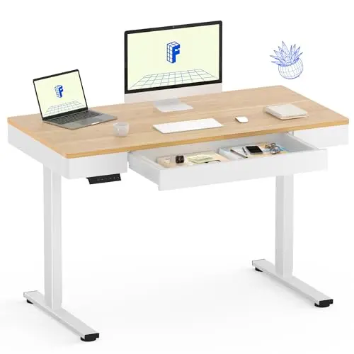 Standing Desk with Drawer, 48 x 24 Inch Electric Adjustable Height Stand Up Desk with Storage Organizer, Whole Piece