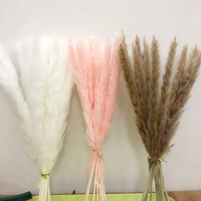 

15pcs Real Natural Dried Flowers Bulrush For Dry Flowers Party Wholesale Wedding Tall Fall Home Decor Decoration Pampas Grass