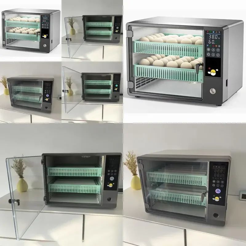 for  Automatic Mini Incubator 50 Eggs Dual Power Supply Stylish Design