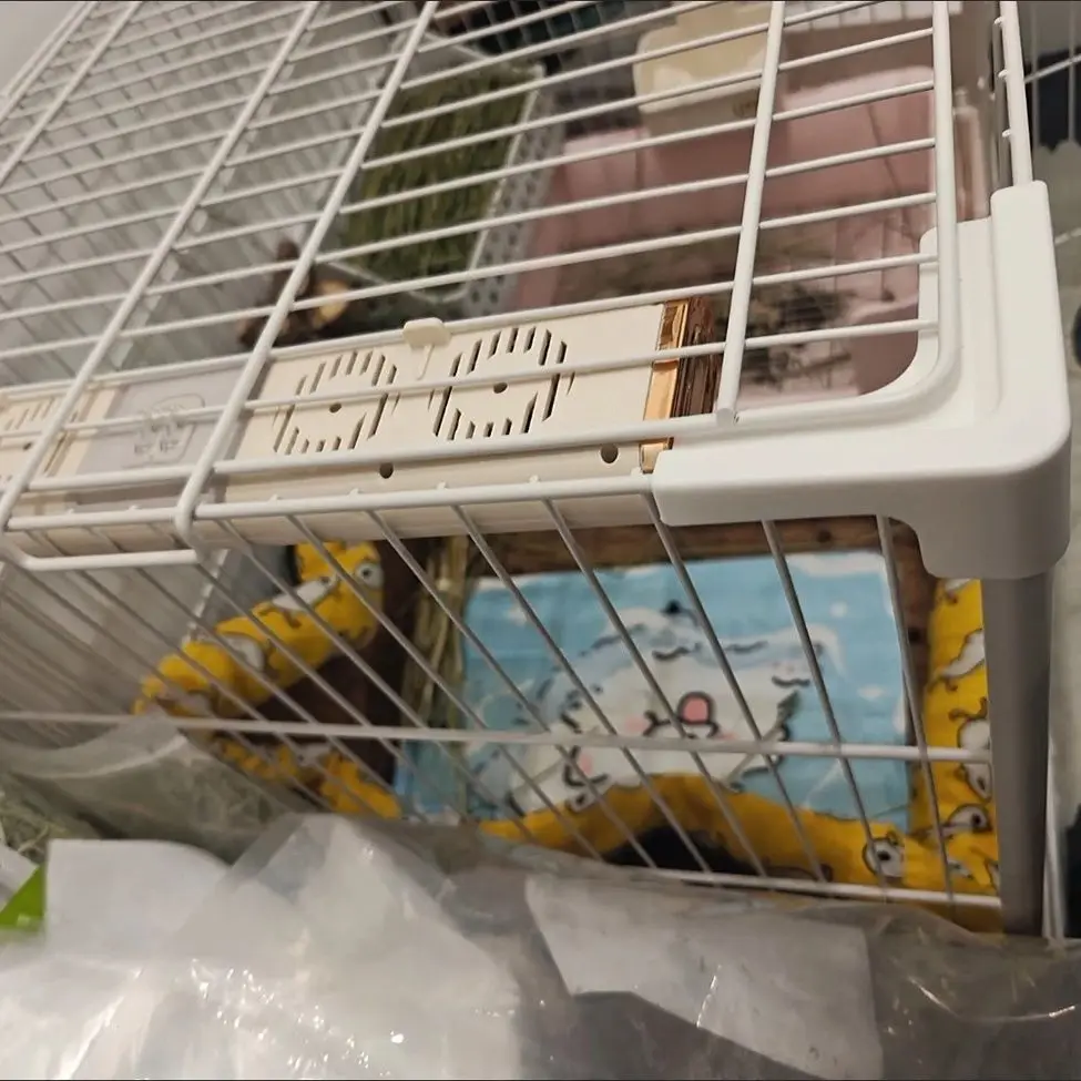 Cat and Dog Cage Fan Summer Cooling Supplies Dog Cage Ventilation Heat Dissipation Fan Deodorizing Toy Three-dimensional view 5