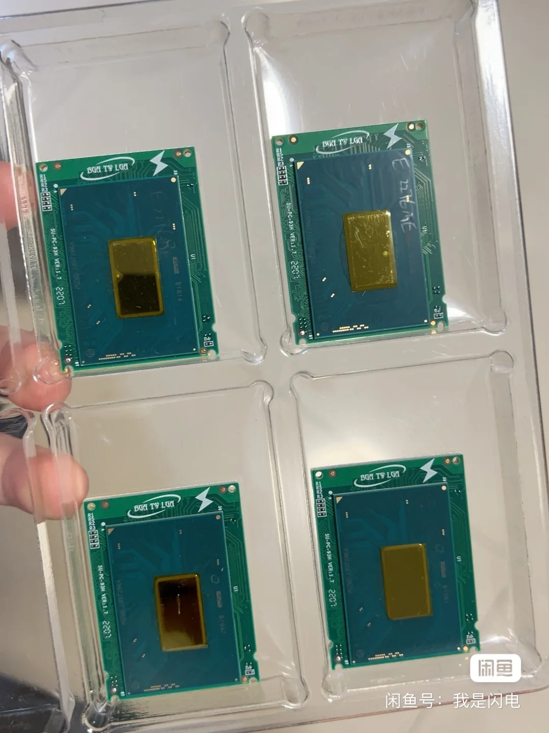 QRZW E2276ME عرض الإصدار التجريبي ، ستة النوى واثني عشر خيوط ، Orthergasia