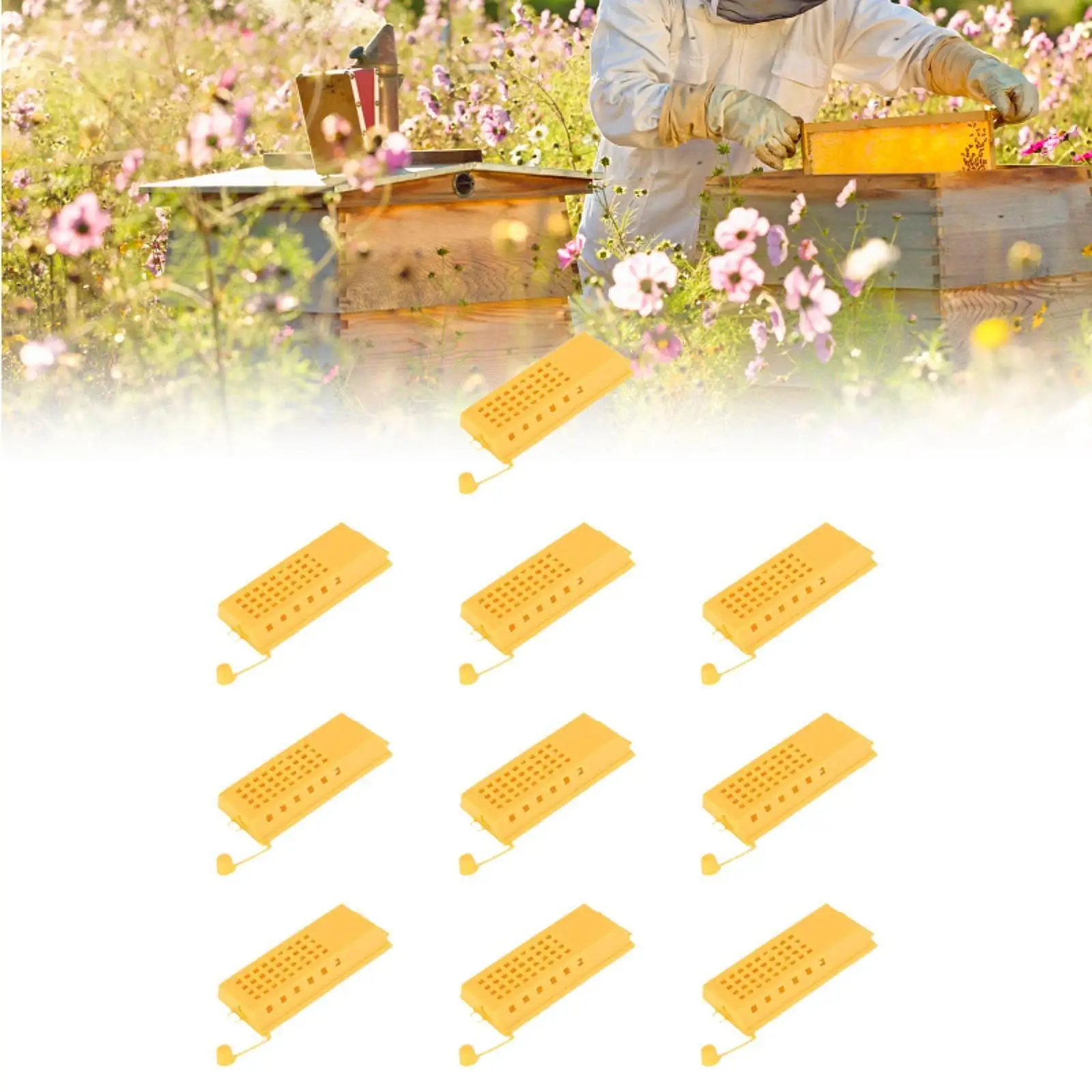 

10Pcs Queen Bee Cages Push-pull Premium High Performance Bee Rearing Tools