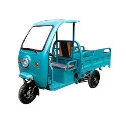 3 Wheel Adult Electric Tricycle Motorcycle Car Use For Cargo Delivery With Awning Goods With Rain Cover