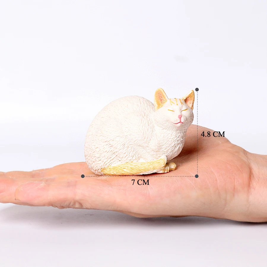 Cat -28