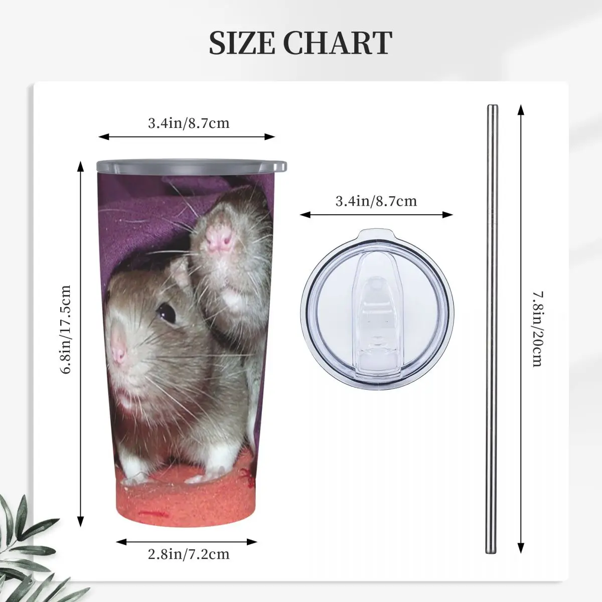 Hidden Rats Stainless Steel Tumbler Vacuum Insulated Mug Thermal Cold Bottle Straws With Lid 20oz