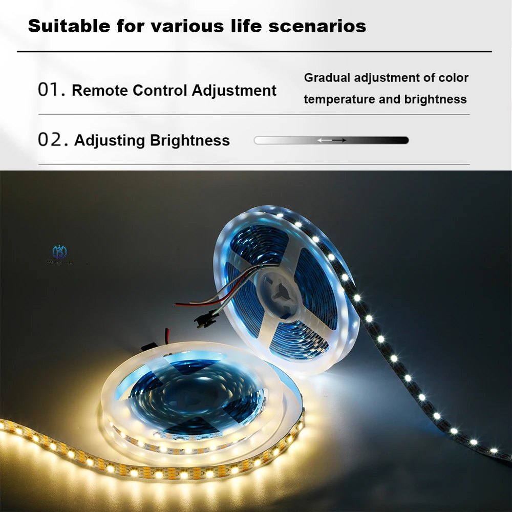 12V WS2815 Warm/White Dual Signal Single color Programming Individually Addressable Flexible Magic Smart Led Pixel Strip Light