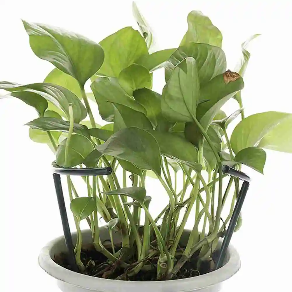 【Festival】Plastic Plant Support Stand 12-Piece Cage, For Indoor Garden Non-Connectable Double Fin Tail Design