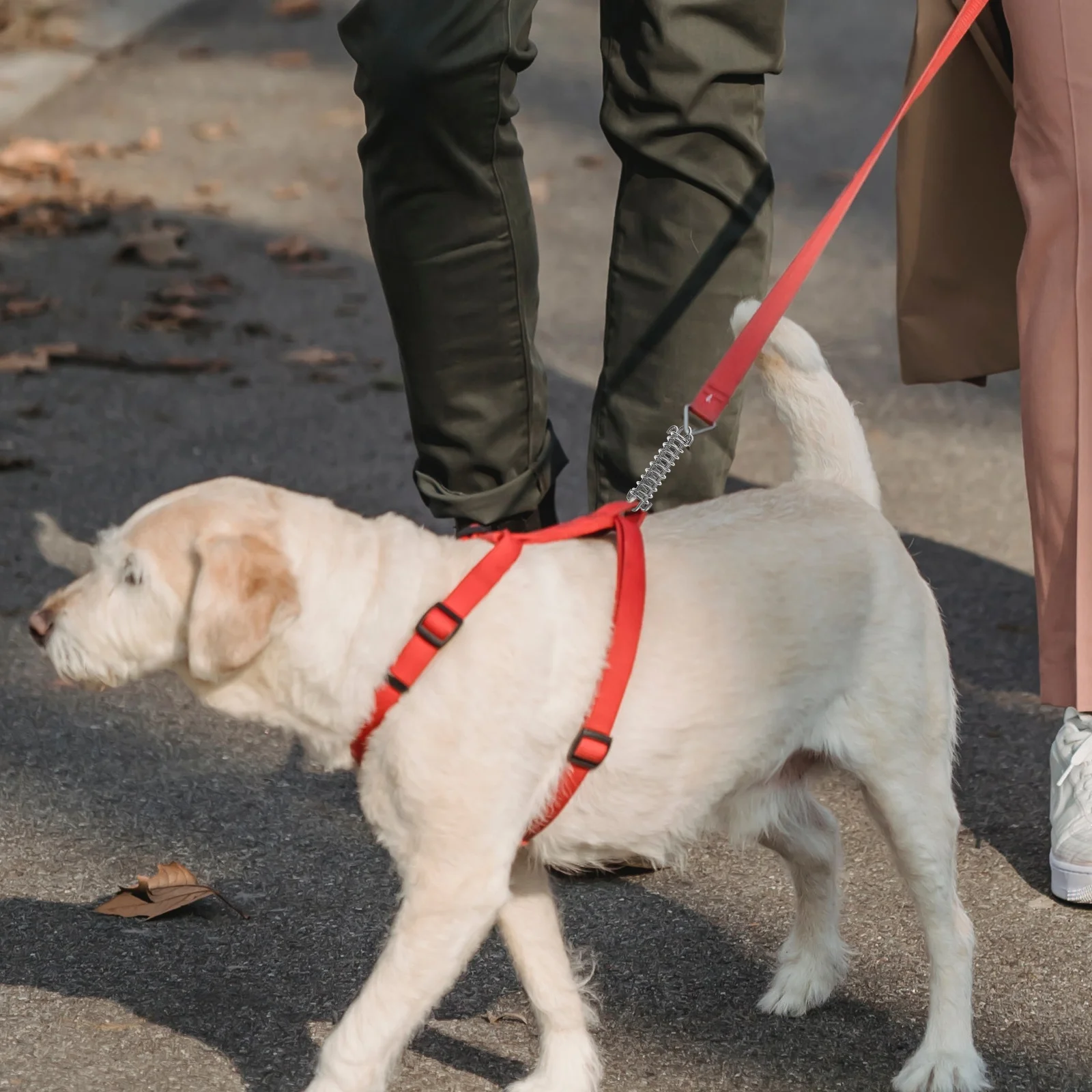 

2pcs Dog Leash Shock Absorbing Spring Heavy Duty 304 Stainless Steel Explosion Proof For Large Medium Small Dogs Outdoor Hiking