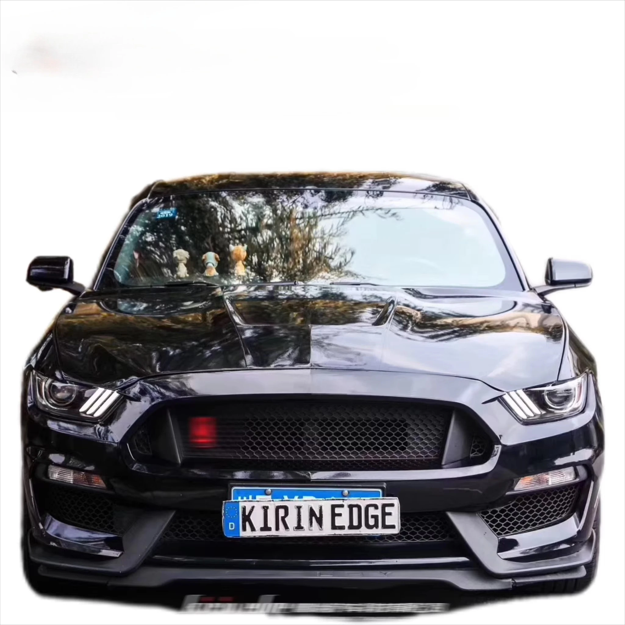 

Body Kit Car Bumper for Ford Mustang Gt 350 Body Kit Front Bumpercustom