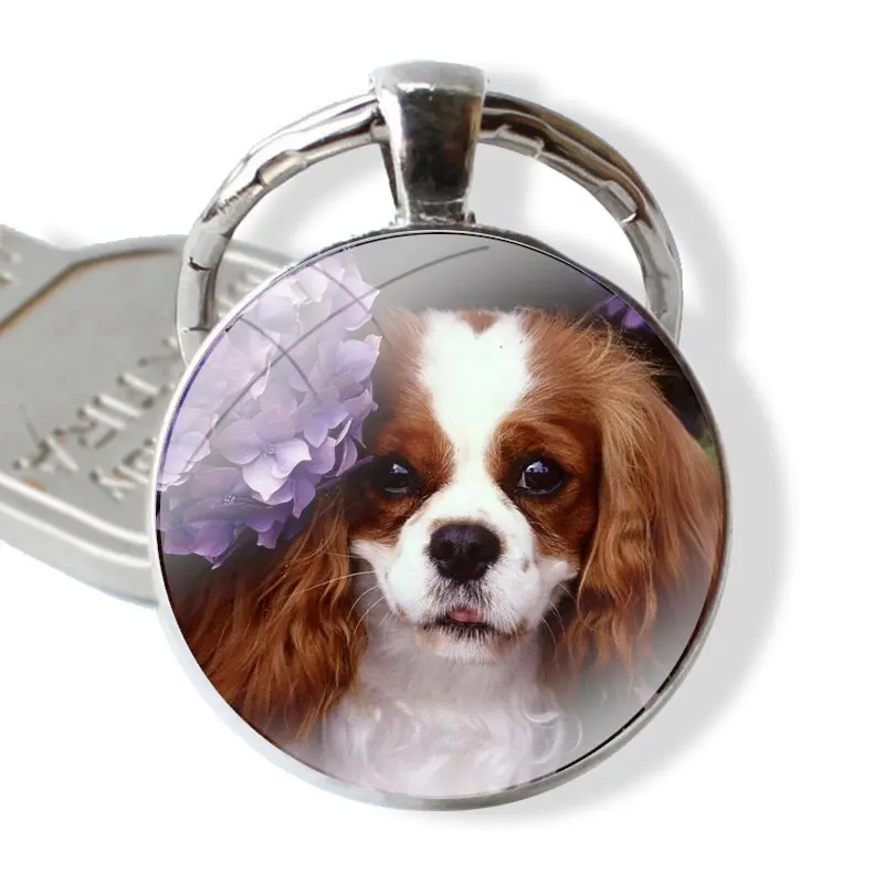 Cavalier King Charles Spaniel Glass Metal Pendant Key Chain Classic Men Women Key Ring Accessories Jewelry Gifts