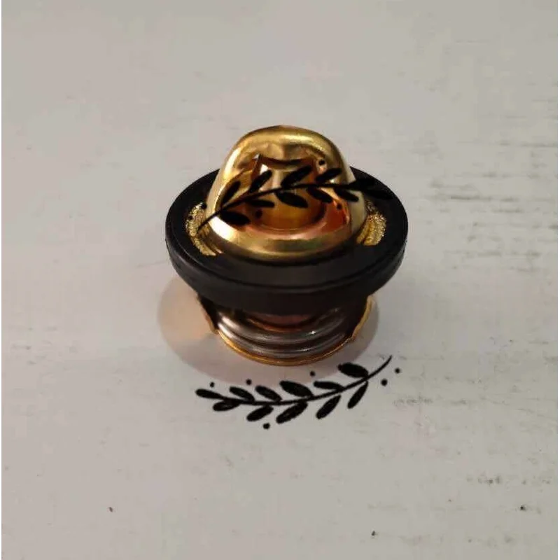 Thermostat Coolant Temperature Controller For Benelli Leoncino500 BJ500 502C BJ500-6A TRK502 Motorcycle Engine Thermostat