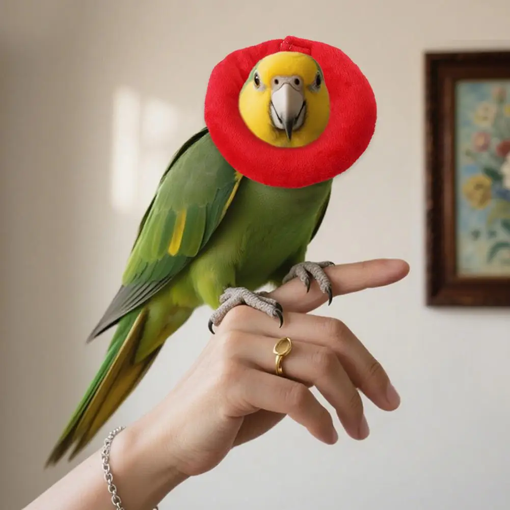 Parrot Neck Collar Protective Donut Collar for Birds Anti-biting Pecking Injury Recovery Collar for Parrots Cockatoos Hamsters
