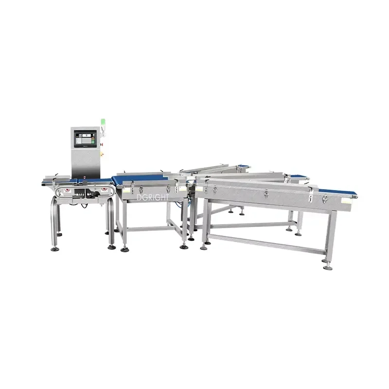 High-speed multi-head machine food dynamic inspection scale price