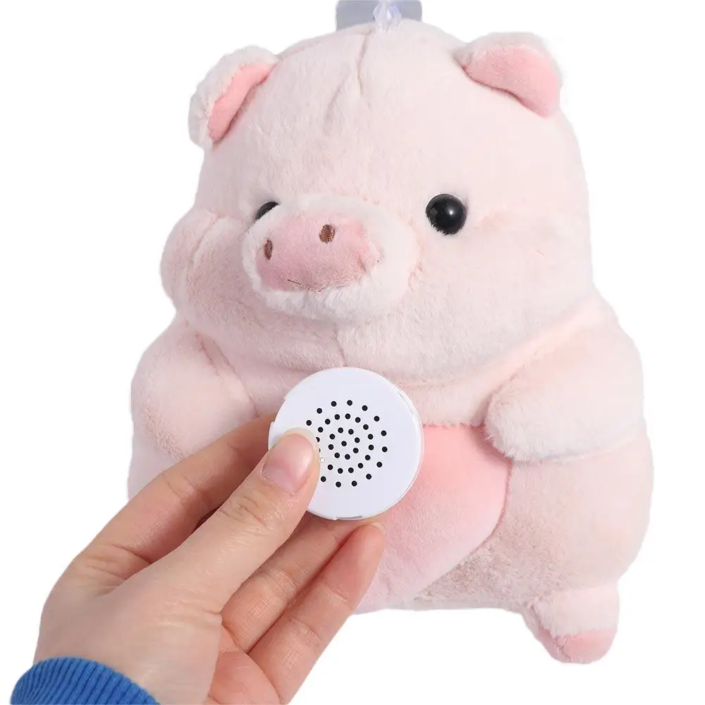 

30 Second Voice Recorder Plush Toy Record Messages Voice Box Recording Device Custom Message Mini Recordable Sound Module