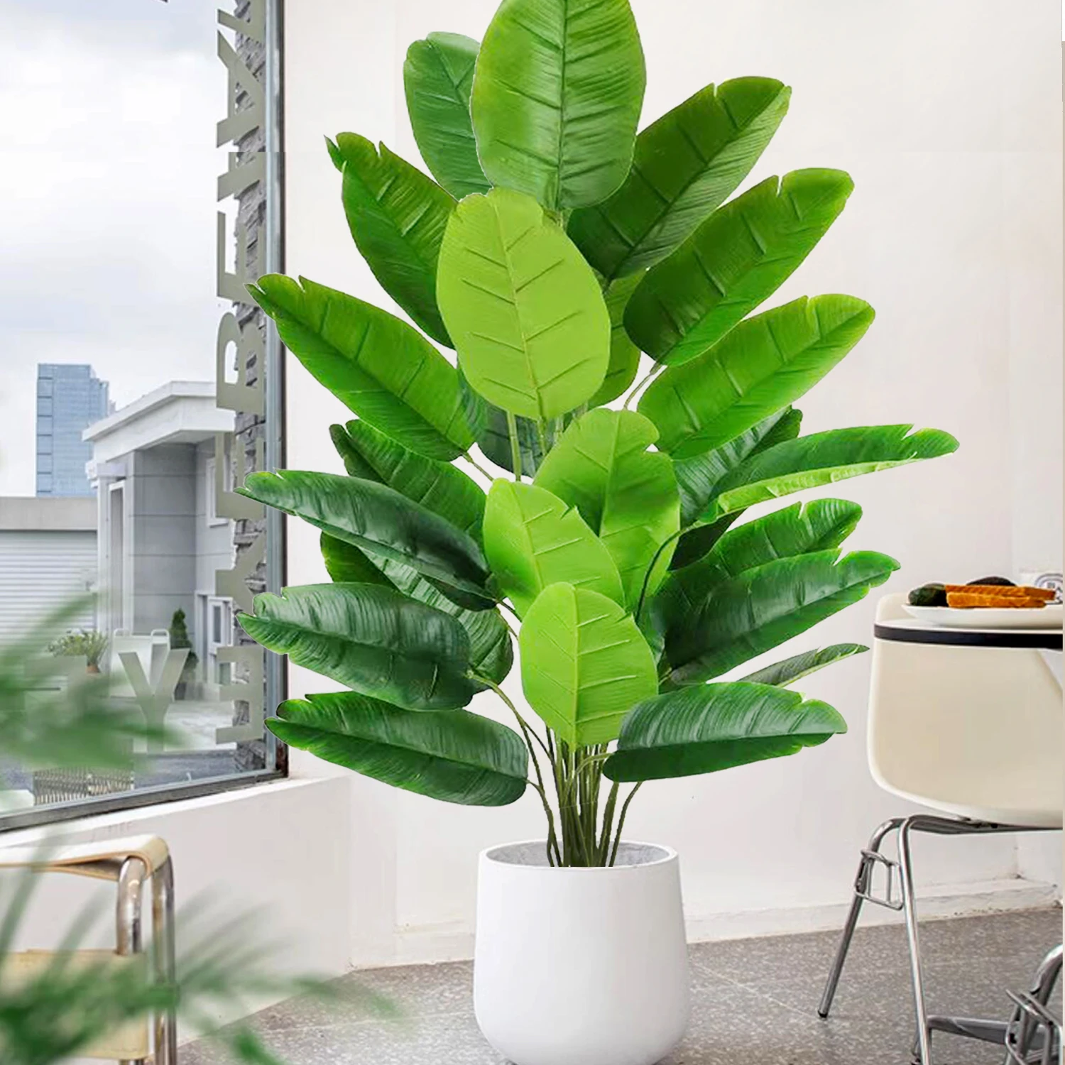 نبات نخيل استوائي كبير 55-142 - مراجعة Monstera Adansonii وسعره