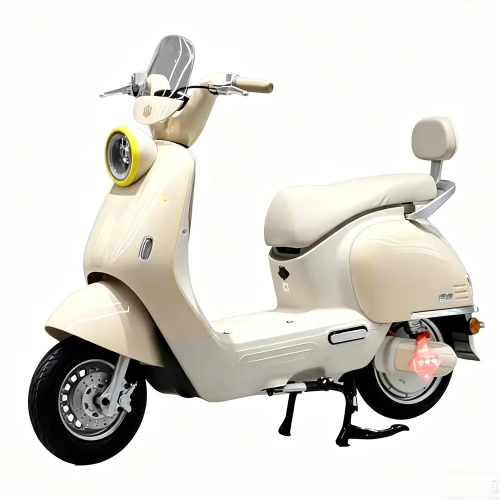 EER Adult electric motorcycle with disc brakes, adult electric racing