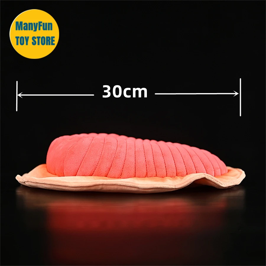 Jellyfish High Fidelity Dickinsonia Plushie Ediacaran paleontology Plush Toys Lifelike Animals Simulation Stuffed Doll Kawai Toy