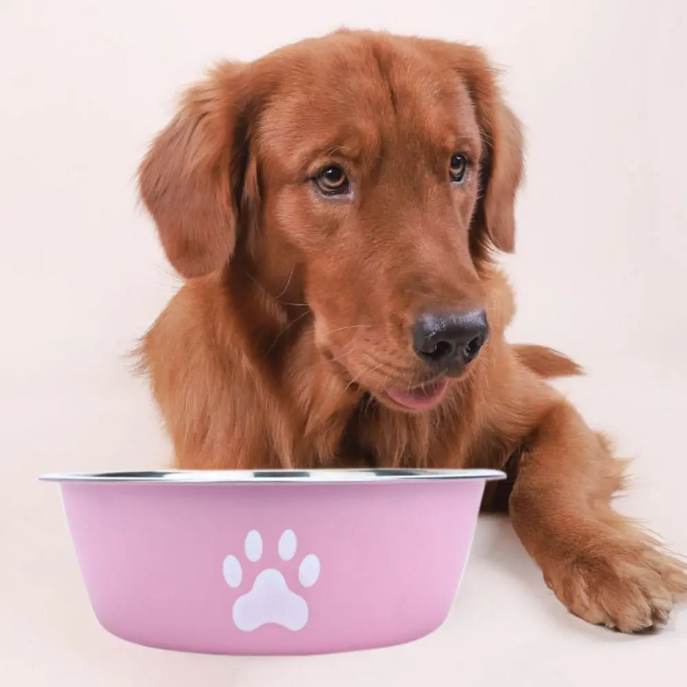 Large Capacity Stainless Steel Dog Bowl Non-rust Non-slip Dog Water Bowl Bilayer Cat Paw Pattern Cat Feeding Bowl Home