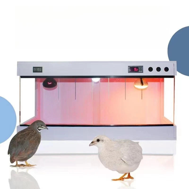 Climbing pet mane lion feeding box turtle lizard snake tortoise pet constant temperature heated rutin chicken incubator