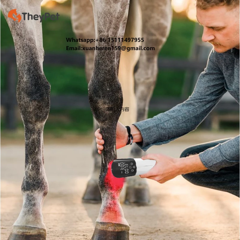 

Portable LED Light Therapy Device for Equestrian Horse Arthritis Muscle Recovery With 850nm & 660nm Infrared Red Light