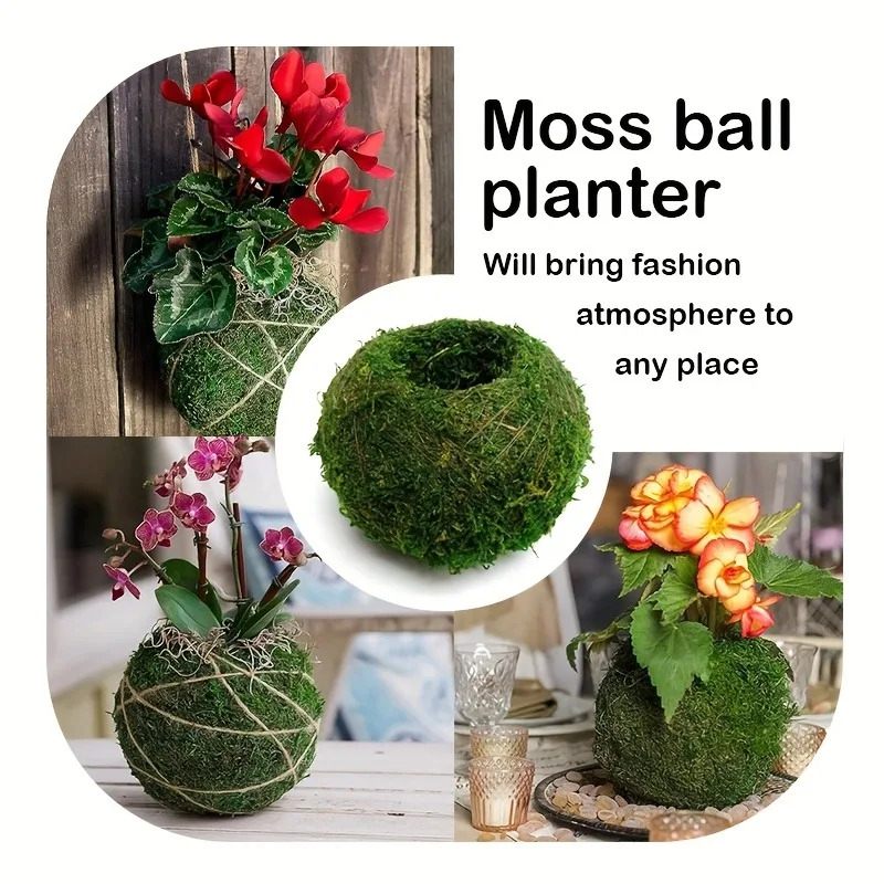 Künstlicher Moosball-Pflanzgefäß, Natürlicher Grüner Bonsai-Pflanzenbehälter, Garten-Mikrolandschaft Dekorativer Moos-Topf für Haus und Garten D – Detail 2