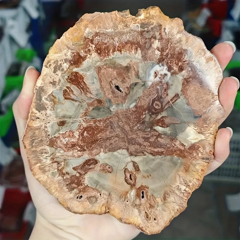 Madagascar Petrified Wood Feather Ornament, A Natural Treasure of Mankind with Sacred Healing Energy, Hand-Carved Ancient Fossil