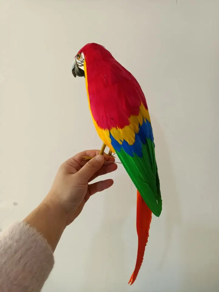 Red Parrot Model Simulation model 40cm Foam Feather home decoration Gift XF2900 New