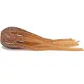 brown-1pc