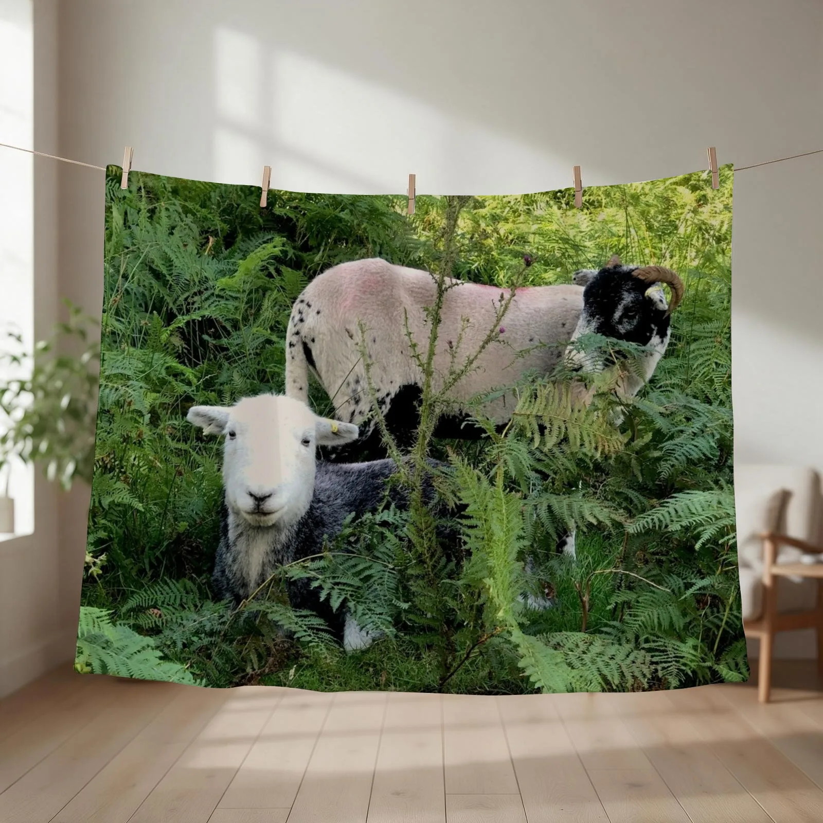 Lake District herdy sheep in laying in ferns Throw Blanket couch cozy soft plush fuzzy picnic outdoor blanket