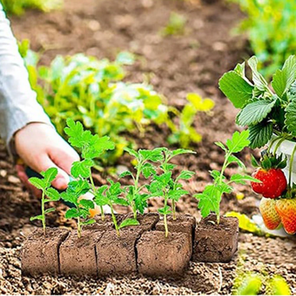 Stainless Steel Soil Block Maker 19x5.5x14cm for Soil Block Preparation Supports Root Development Gardening Tool Kit