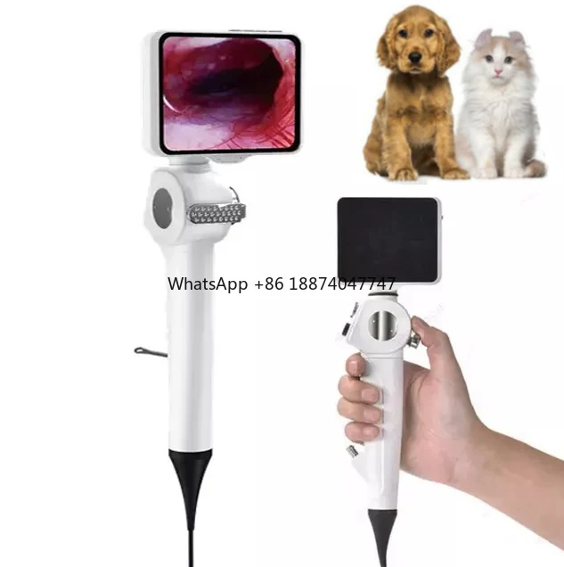 Veterinary Instrument Handheld Ultra-clear Veterinary Endoscope Flexible Animal Video Endoscopy