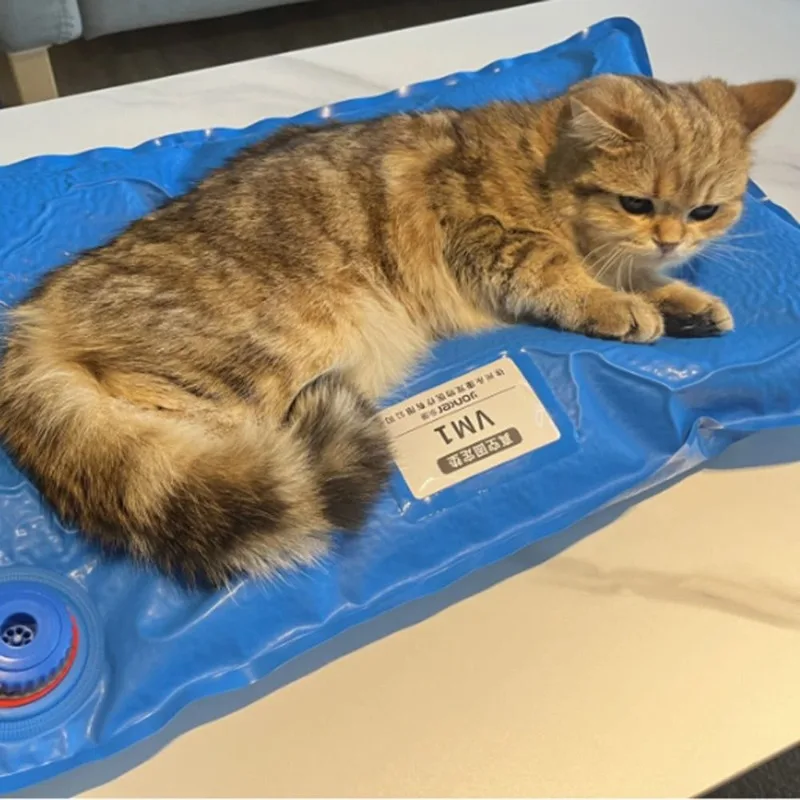Pet cat and dog surgery vacuum positioning pad Small veterinary examination pad Pet care Home medical