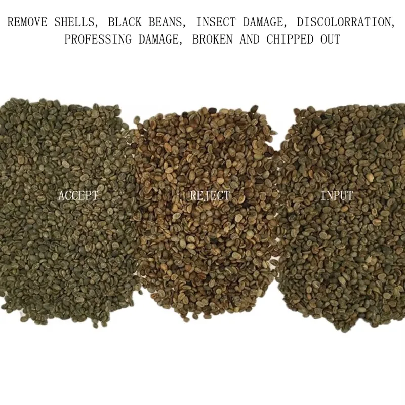 Made in China Food Processing Machinery CCD Coffee Beans MINI Color Sorter Machine