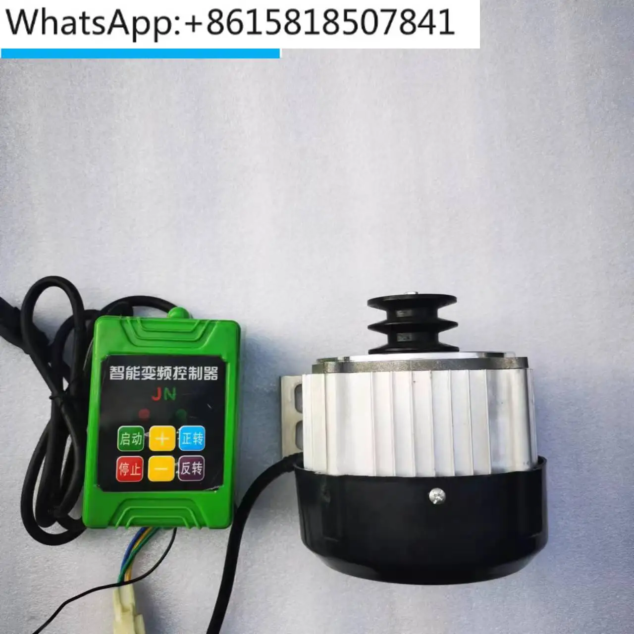 Pump motor with remote control pulley brushless DC permanent magnet water pump 48V60V500W pesticide spraying machine