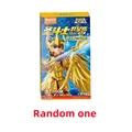 GV01 Random 1 box