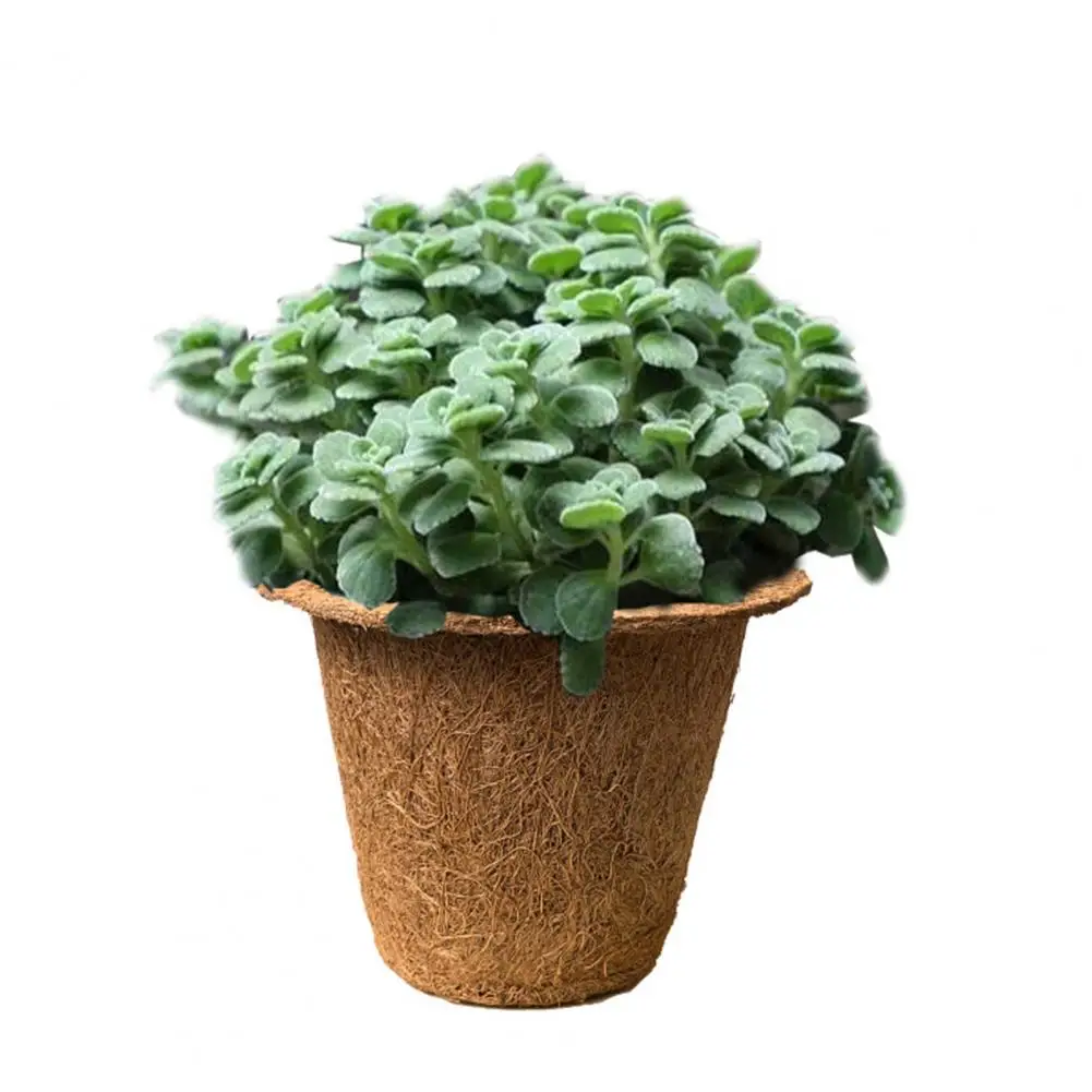 

Flower Planting Pot Useful Eco-friendly Reusable Indoor Outdoor Gardening Plant Starter Pot Yard Supply