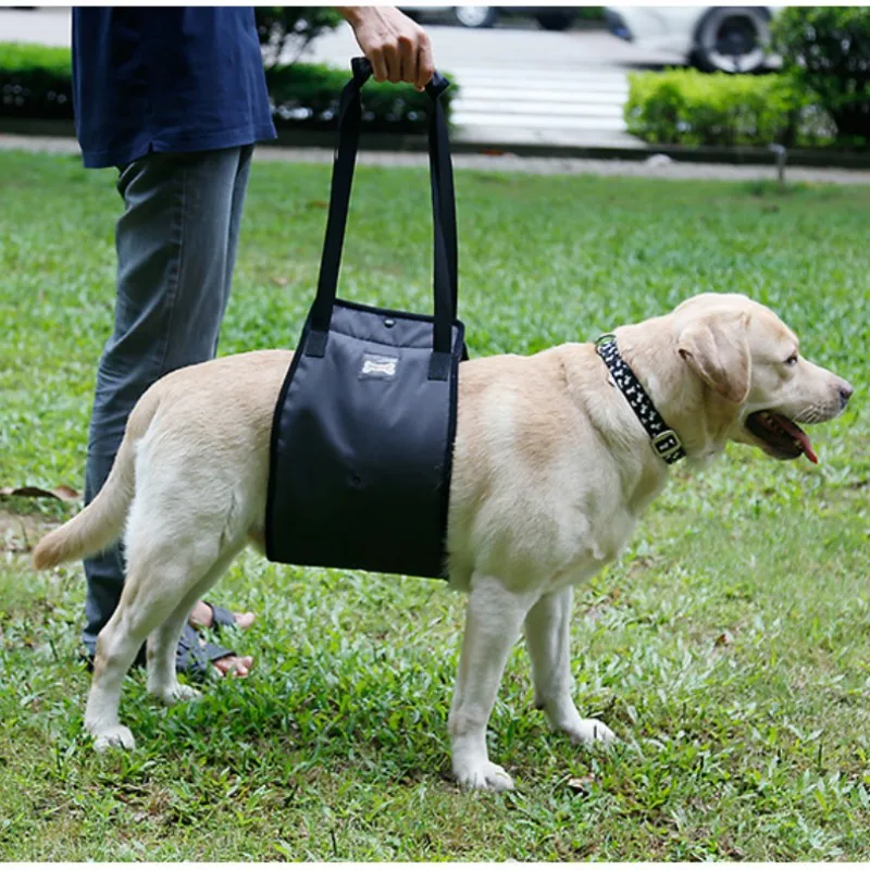 Portable Dog Sling For Back Legs Hip Support Harness to Help Lift Dogs Rear For Canine Aid and Old Dog Ligament Rehabilitation