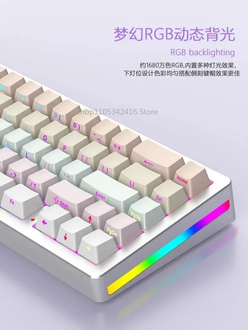 Tri-Mode Wired/Wireless Bluetooth Mechanical Gaming Keyboard, 65% Hot-Swap GASKET RGB Keyboard for Office & Gaming