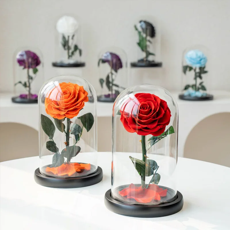 

Preserved Eternal Roses in Glass Luxury Natural Beautiful Rose for Wedding Valentines Day Christmas