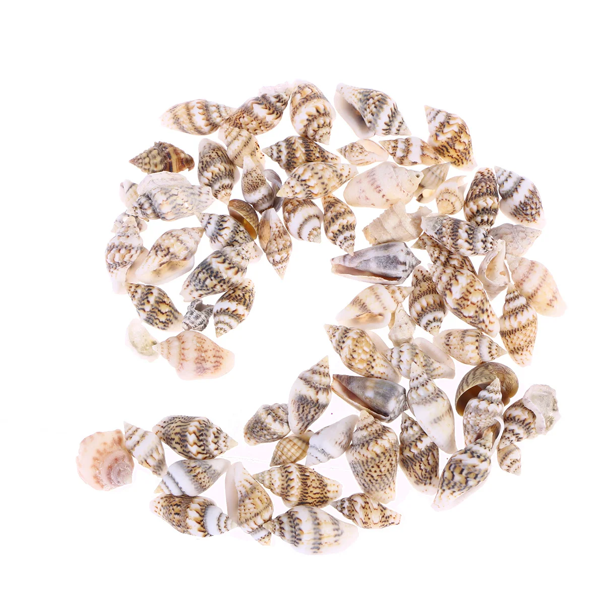 

500pcs Seashells Set Natural Mixed Sizes Vivid Dark Teal Shiny Craft Decoration For Room Aquarium Sketchbook Invitation Home