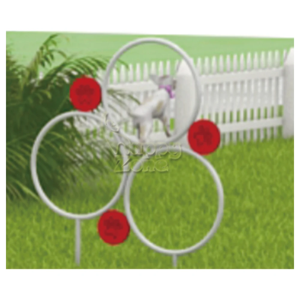 Pet Agility Training Games Course Interaktives Training Outdoor Hindernis Haustier Outdoor-Spielgeräte mit Edelstahlrahmen