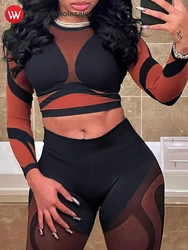 LW Sexy Pant 2 Piece Sets Women Outfit 2024 Autumn Skinny Round Neck Crop Tops Bodycon Streetwear See Through Yoga Pants Set