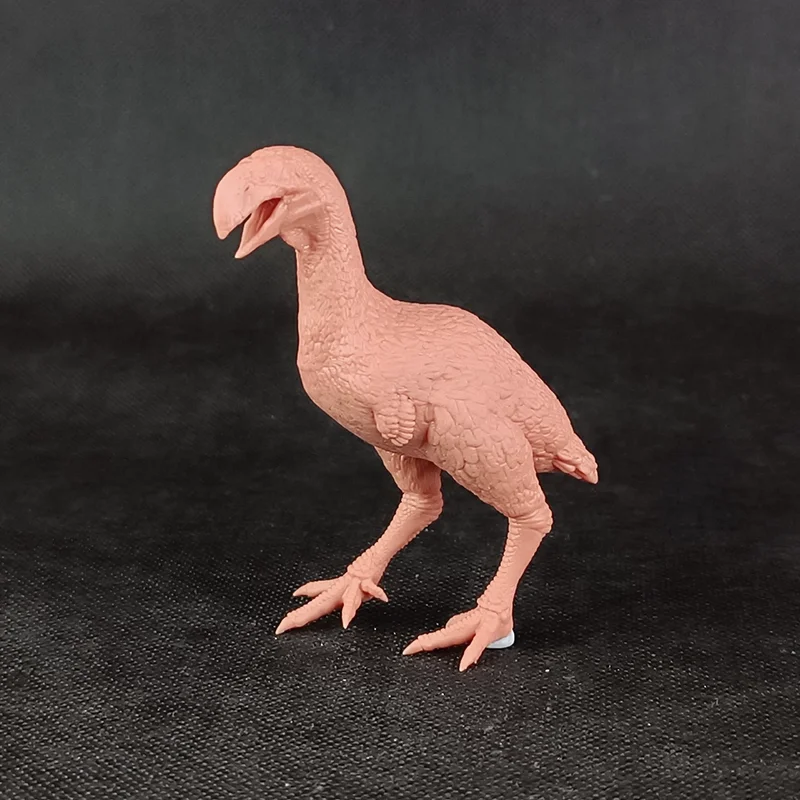 

1/35 15cm gastornis geiselensis Model Toys Ancient Prehistroy Animal Model Gk Customize 3D Printing