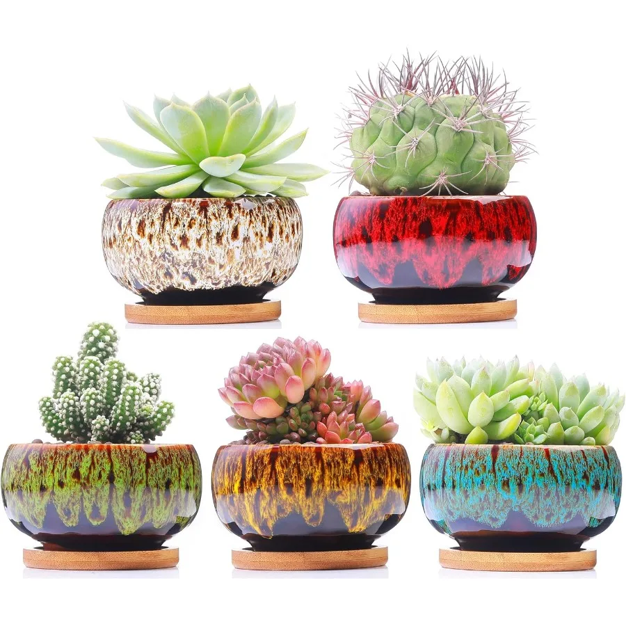 

Симпатичные керамические сочные садовые горшки, кашпо с дренажем и прикрепленным блюдцем, набор из 5 растений, круглые в комплект не входят