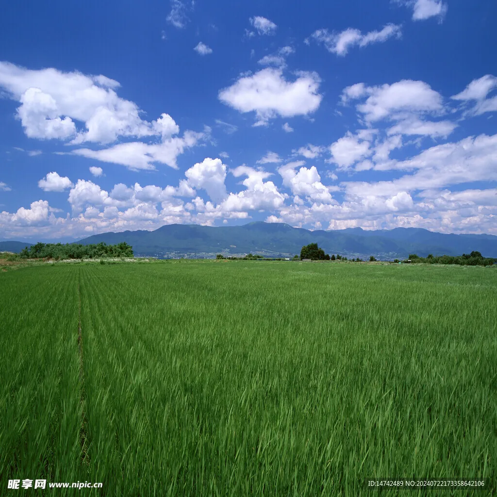 

Радиоуправляемая машинка Q203 с восьмиколесным приводом для детей, электрический внедорожник-амфибия для мальчиков