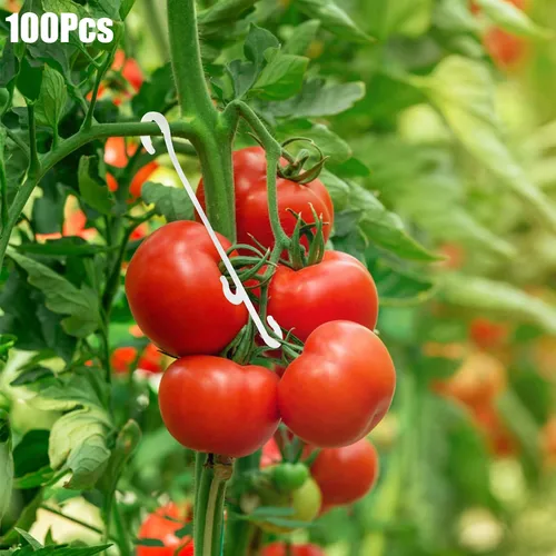 등산용 식물 덩굴 클립, 흰색 J자형 후크, 토마토 지지대 클립 후크, 토마토 낙하 방지, 100 개