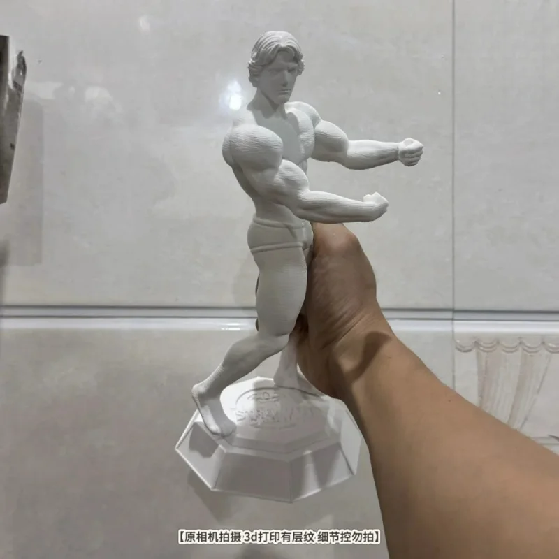 Schwarzenegger 30cm Muscle Statue - 3D Printed Fitness Figure - J Fitness Competition Desktop Decorative Collection Item