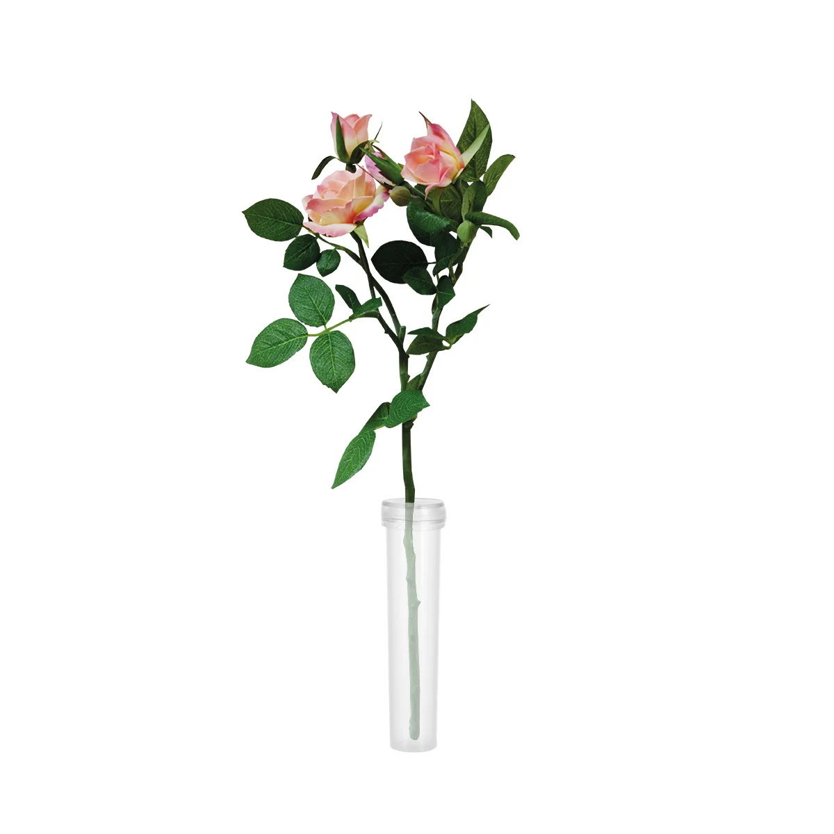 

100Pcs Fresh Flower Water Tubes Hard Shell Plastic Flower Nutrition Container for Extended Rose Carnation